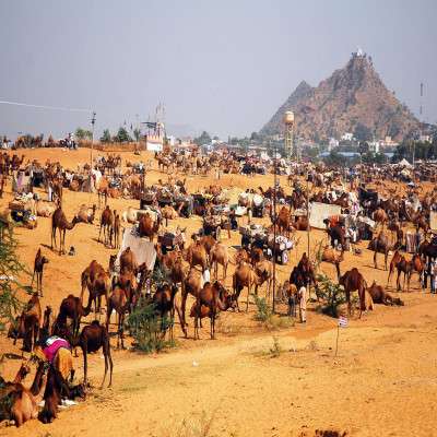 Pushkar Fair Travel